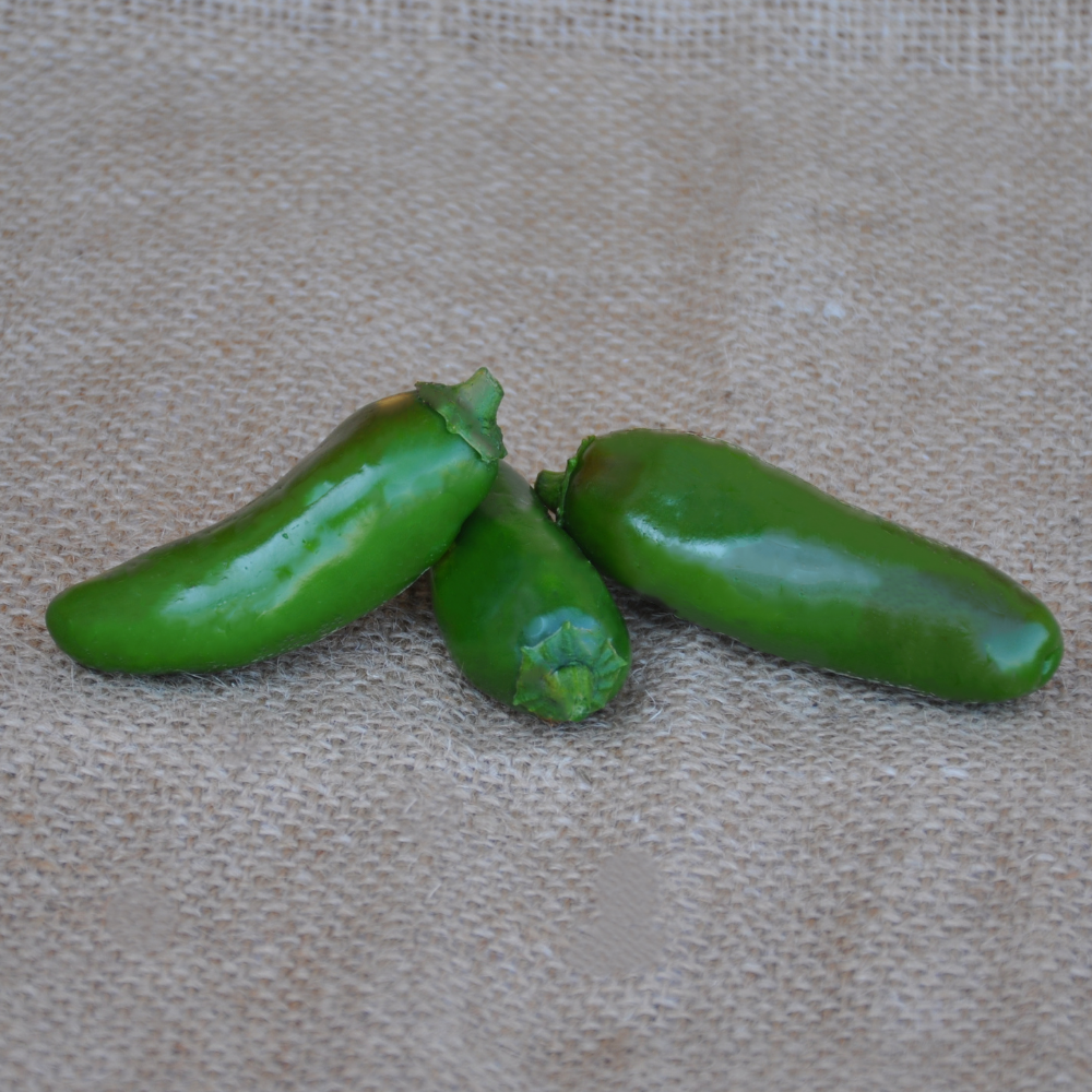 
                      
                        JALAPENO HOT PEPPER SEEDS | Smarties.bio
                      
                    