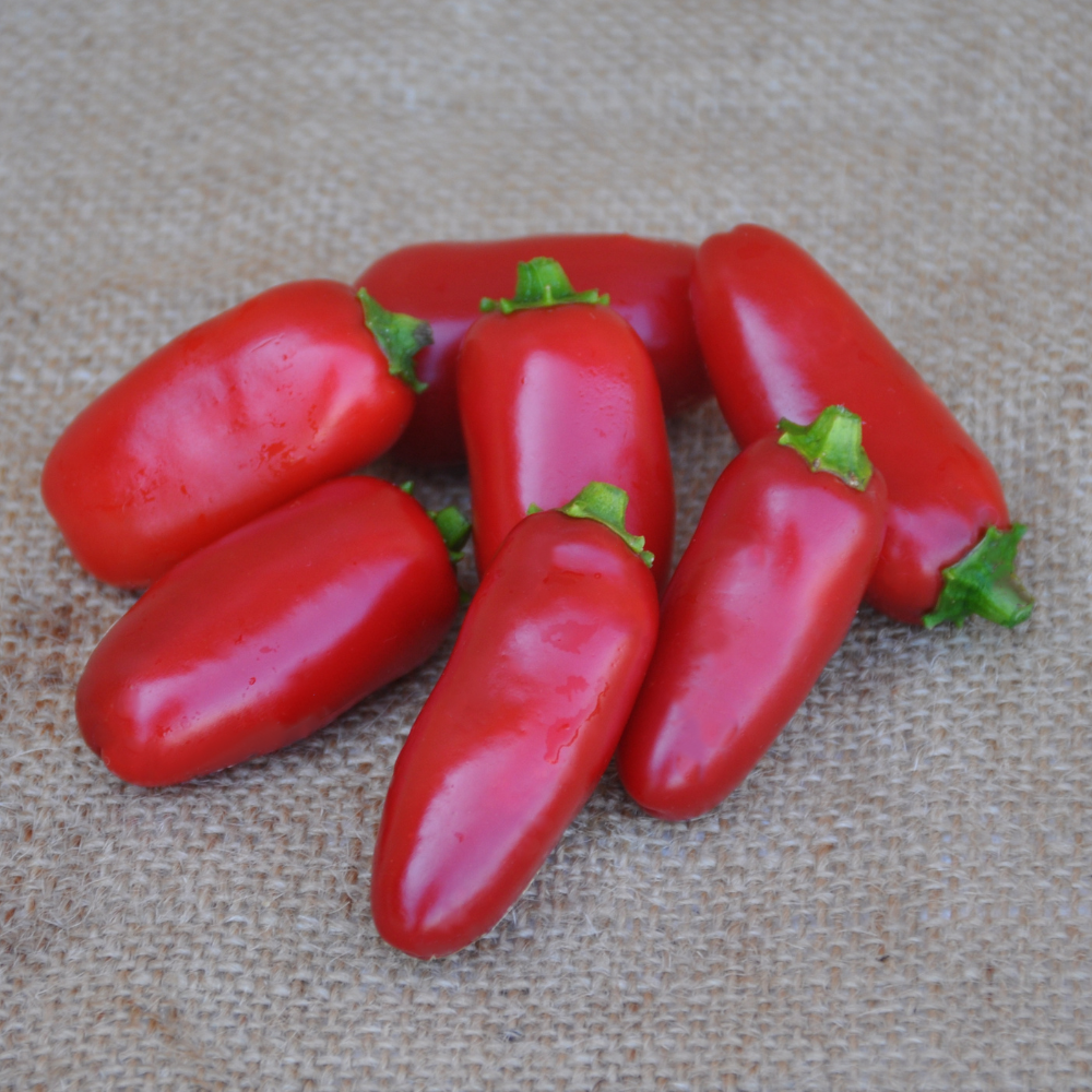 JALAPENO HOT PEPPER SEEDS | Smarties.bio