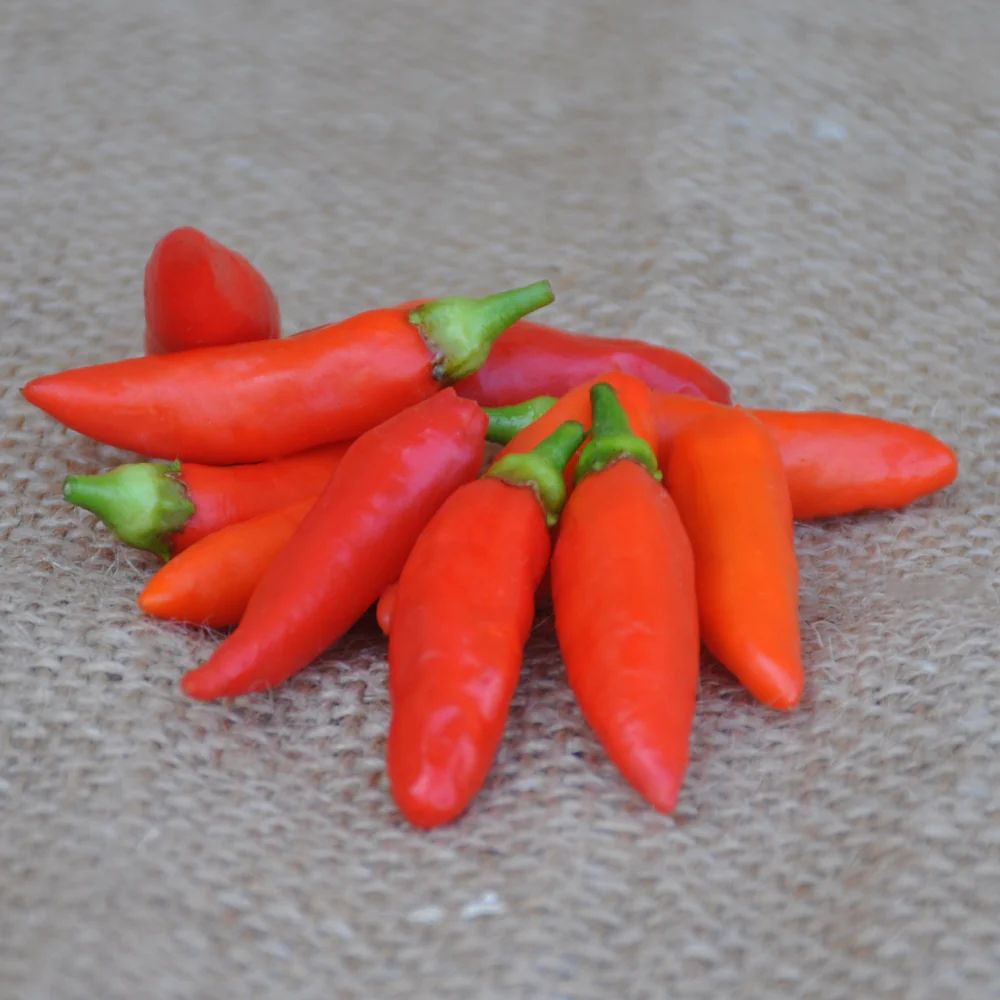 TABASCO HOT PEPPER SEEDS| Smarties.bio