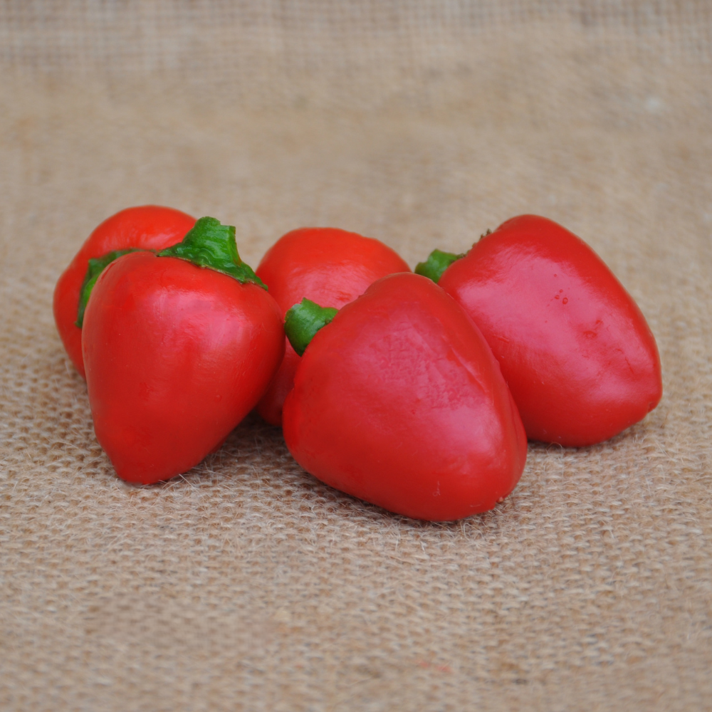 URANUS HOT PEPPER SEEDS | Smarties.bio