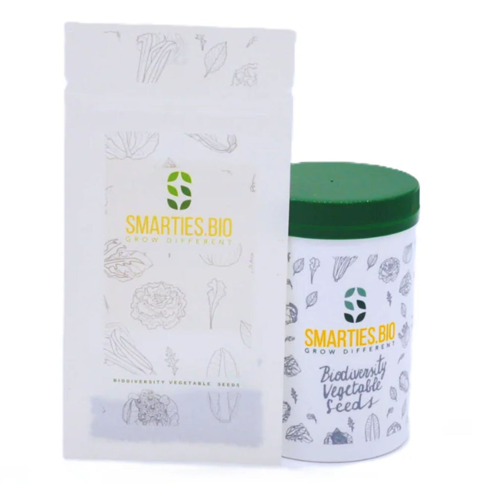 
                      
                        SERENA SUGAR LOAF CHICORY SEEDS | Smarties.bio
                      
                    