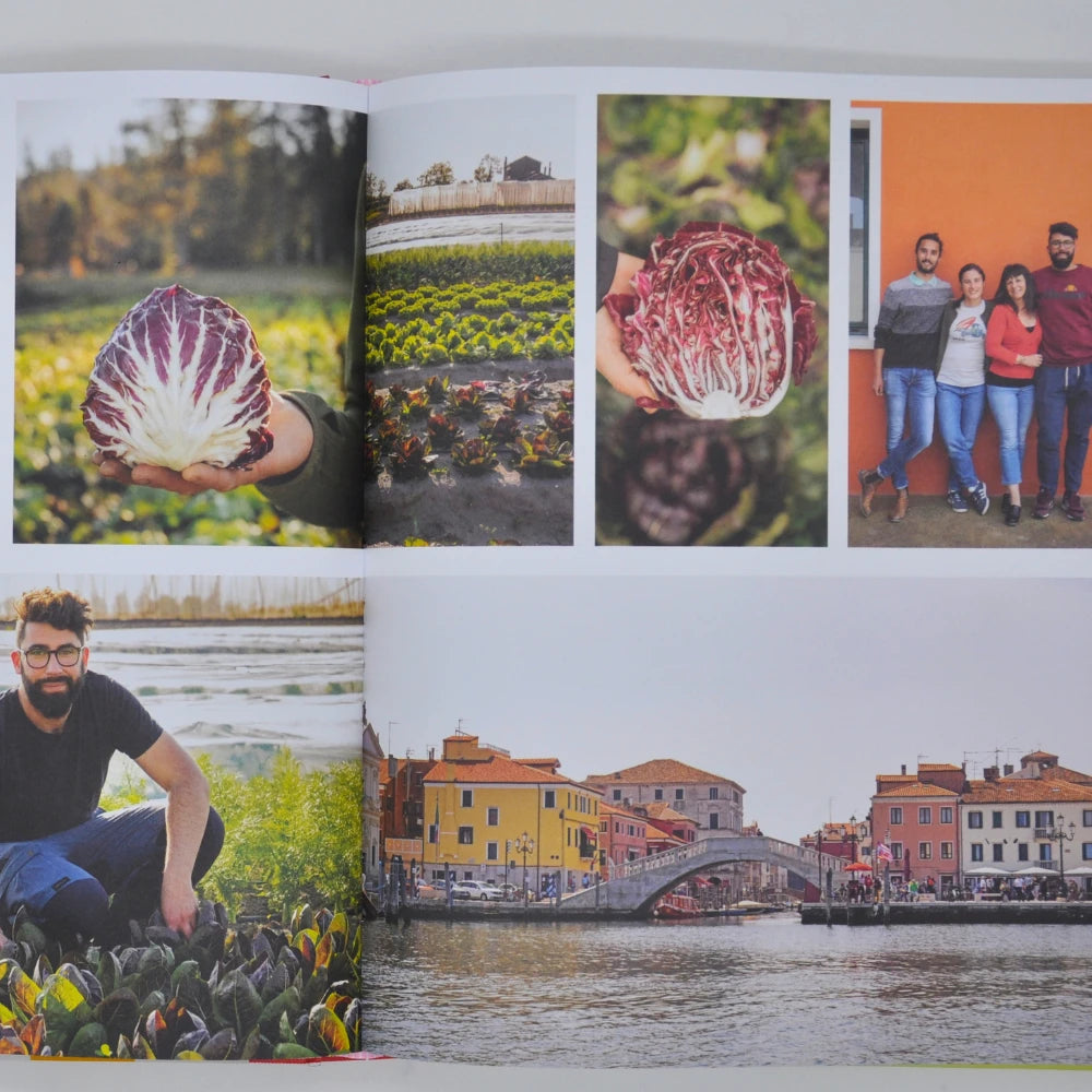 Radicchio: A Celebration of the Beloved Italian Vegetable | Smarties.bio