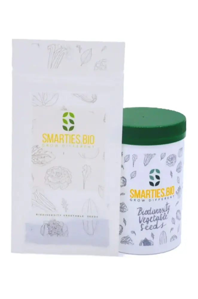 BOTTENIGA CICORIA ROSSA DI TREVISO 2 SEEDS                            (TREVISO TARDIVO TO BE FORCED) | Smarties.bio