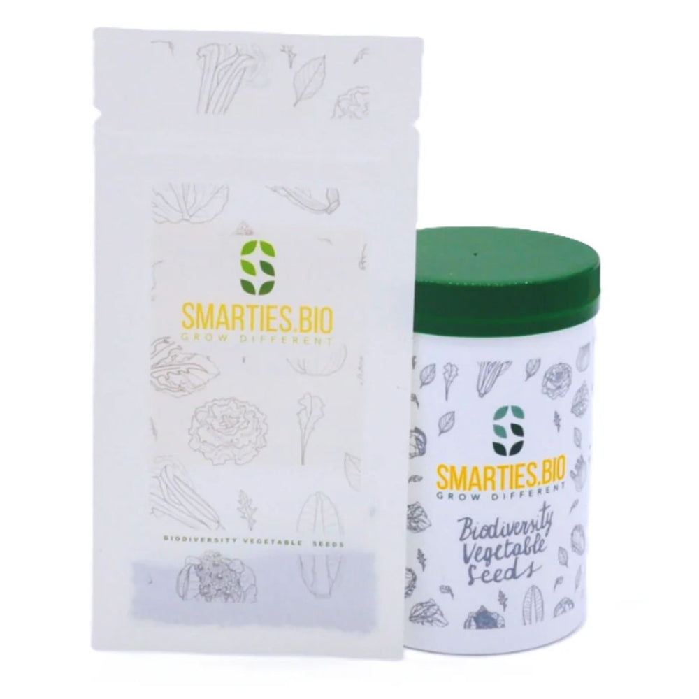 ROMEO CICORIA ROSSA DI VERONA SEEDS | Smarties.bio