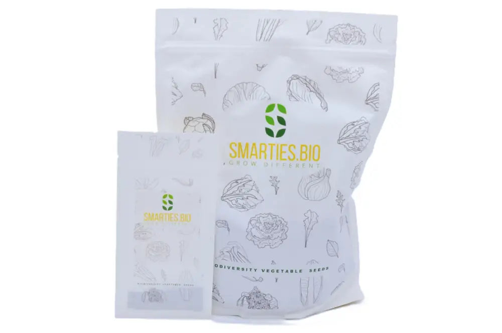 Marina di Chioggia Squash Seeds | Suca Baruca – Smarties.bio