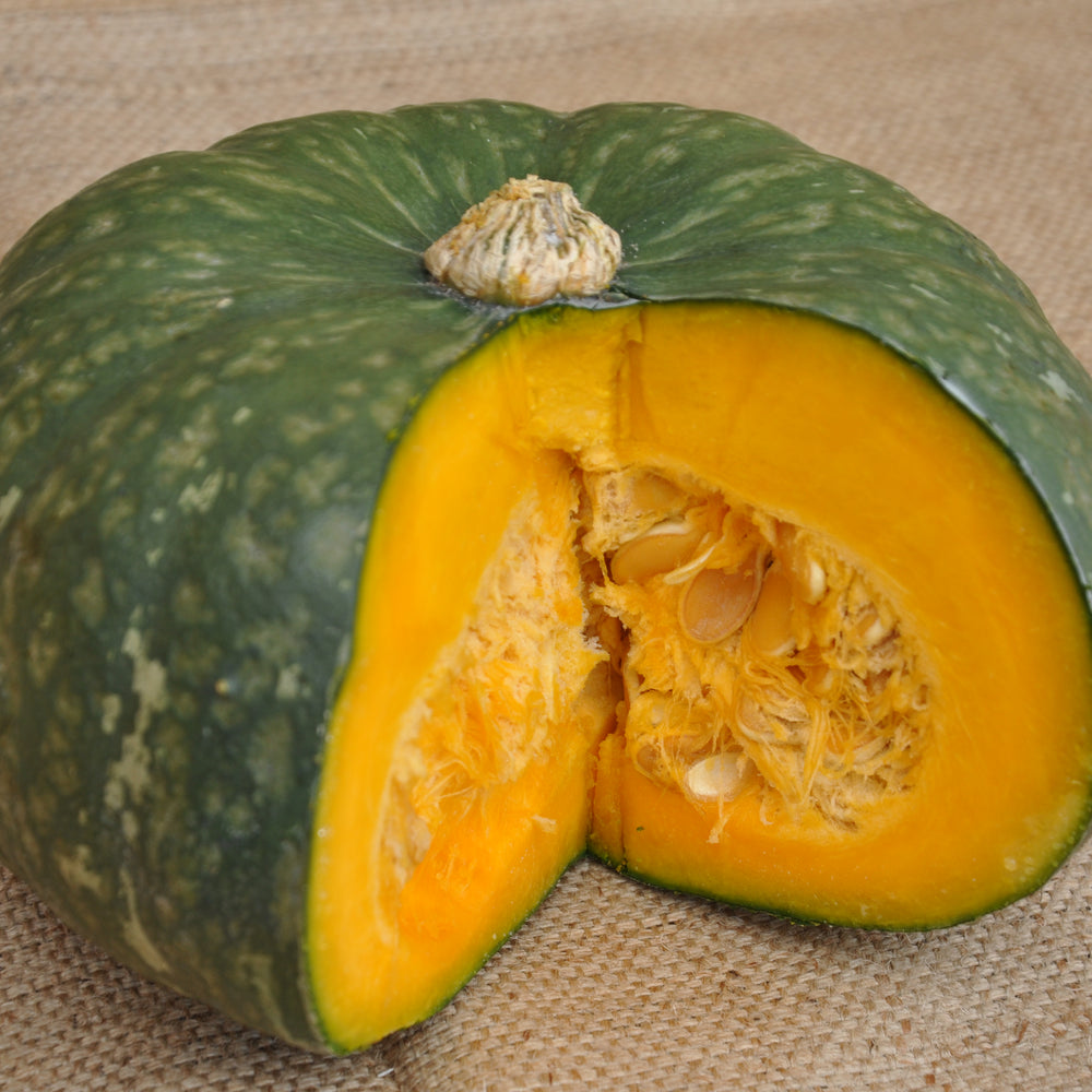 XS106 GREEN KABOCHA (DELICA TYPE) SQUASH SEEDS