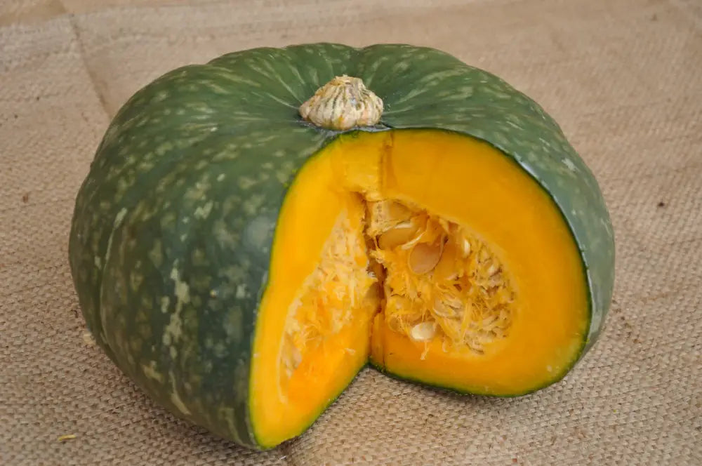 XS106 GREEN KABOCHA (DELICA TYPE) SQUASH SEEDS | Smarties.bio