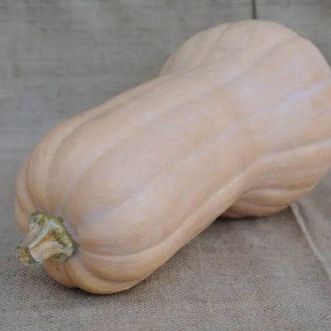 BUTTERNUT SQUASH SEEDS | Smarties.bio