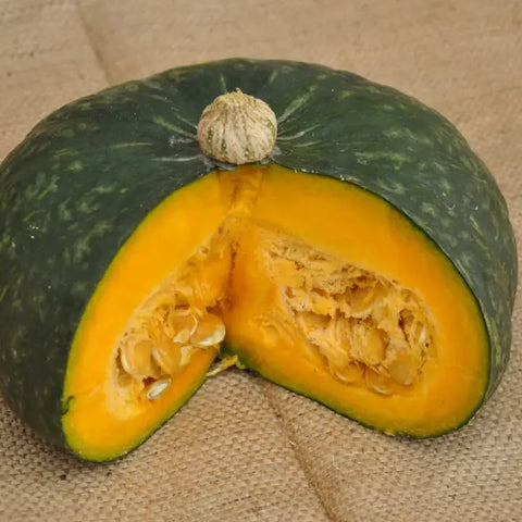 DELICA F1 SQUASH SEEDS | Smarties.bio