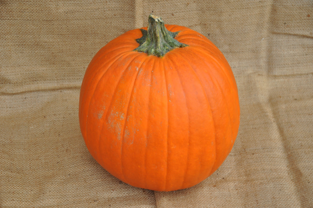 GIANT ORANGE CARVING PUMPKIN SEEDS | Smarties.bio