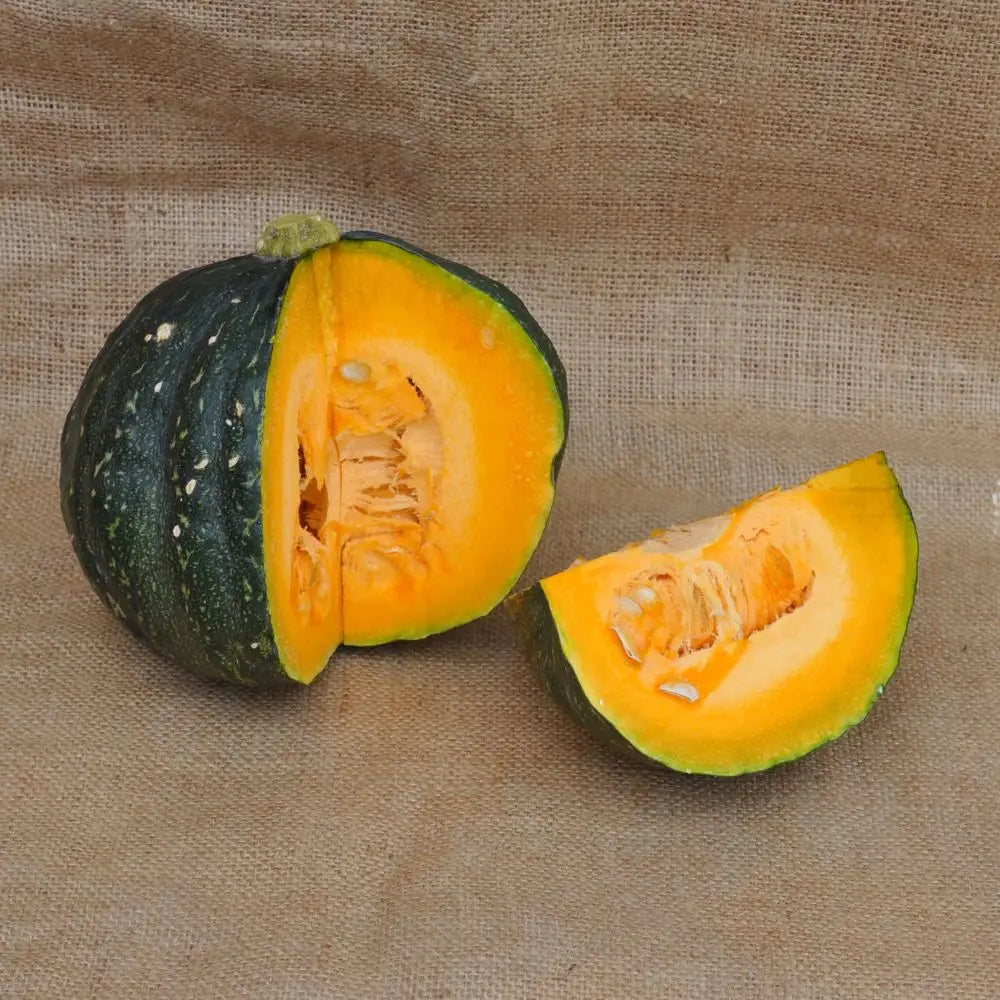 IRON CUP F1 SQUASH SEEDS | Smarties.bio