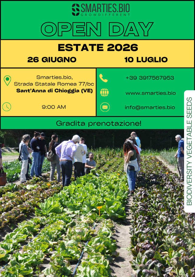 Open Day