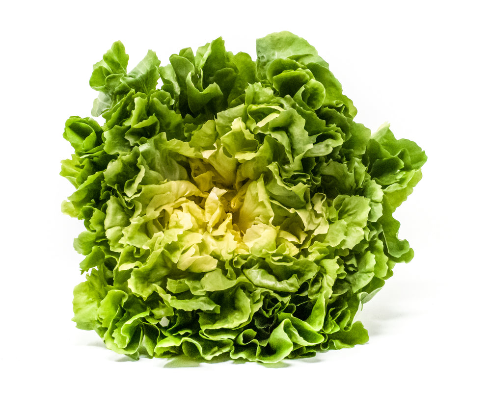 MATILDE ex #SM4.36 ESCAROLE SEEDS | smarties.bio