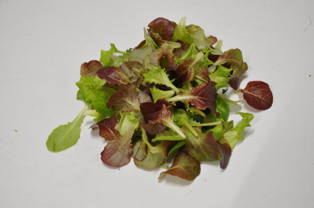 #SM4.76 SPRING MIX BABY LEAF LETTUCE SEEDS | smarties.bio